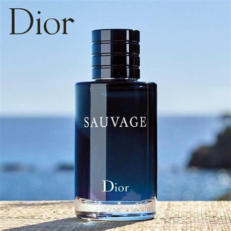 dior sauvage oil based|dior sauvage kopie.